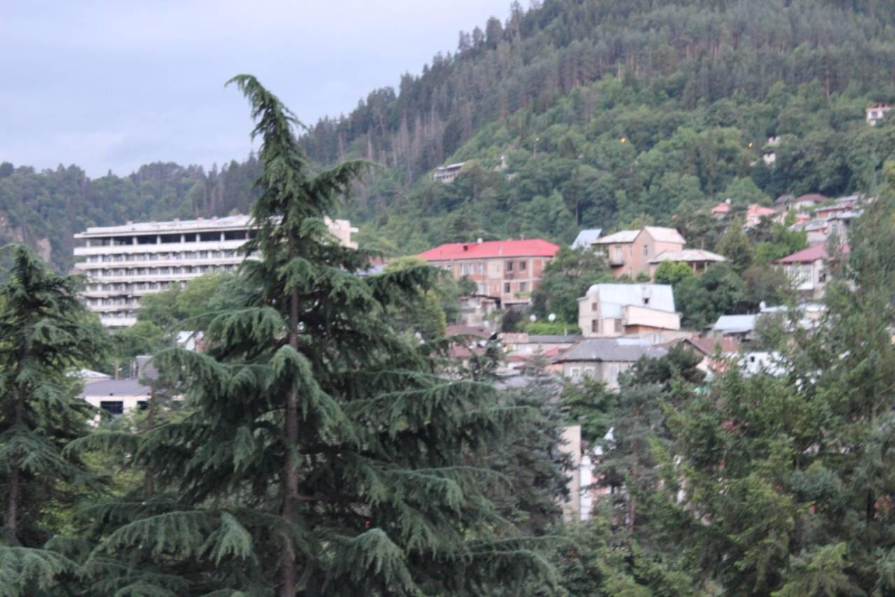 Diasamidzeebi apartment Borjomi Bagian luar foto